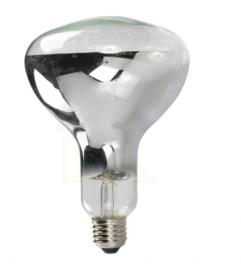 Żarówka promiennik E27 175W biała